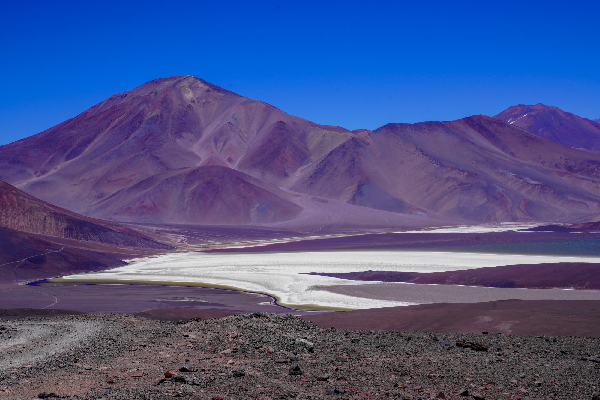 Puna Argentina