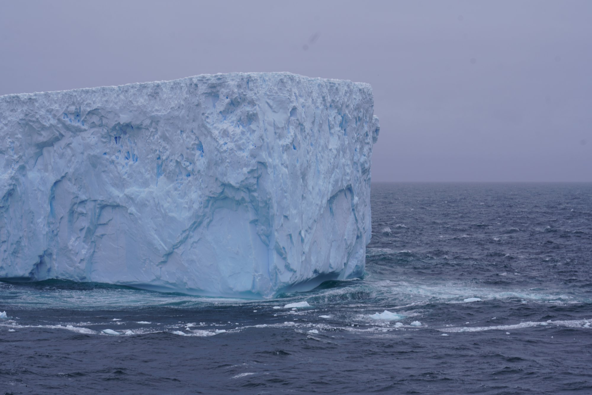 Iceberg