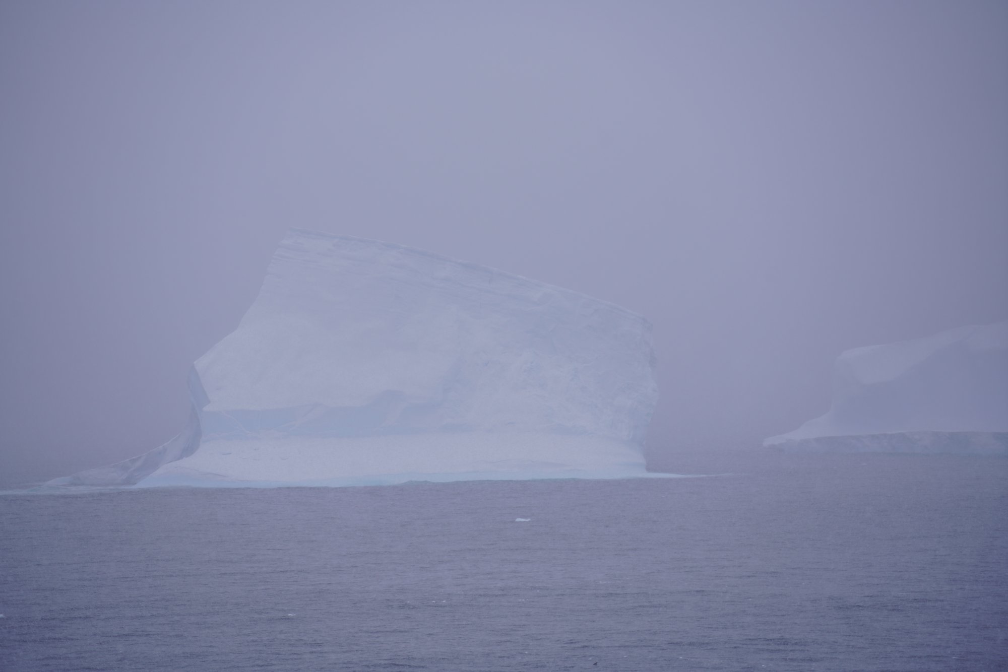 Iceberg